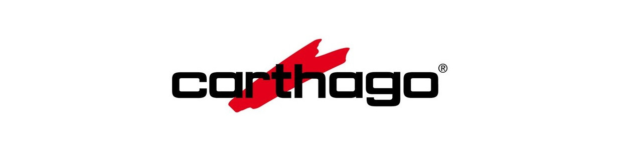 Trailer Hitch for Carthago Motorhome - Towbars Online
